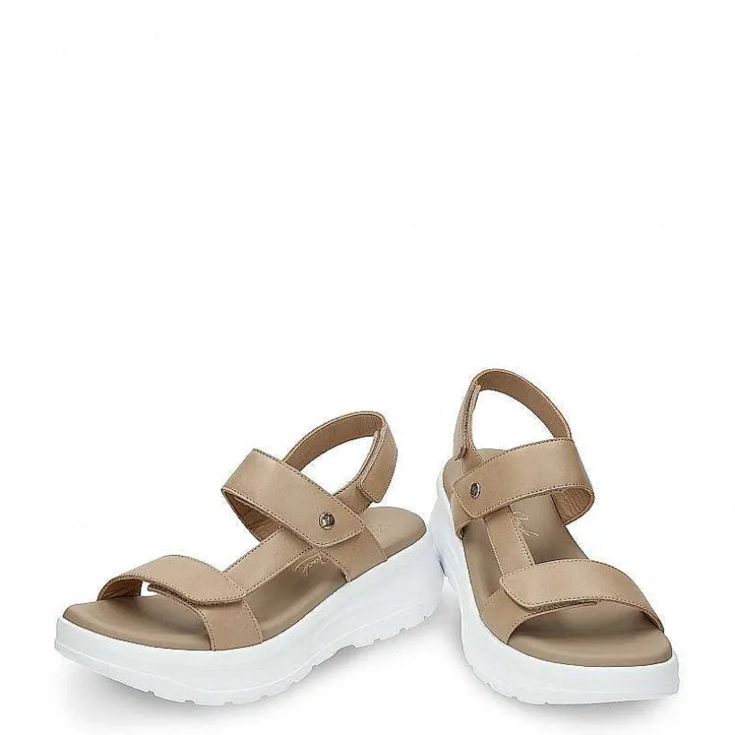 Vrouw Panama Jack Noor