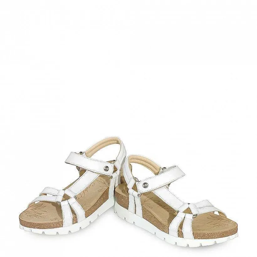 Vrouw Panama Jack Sally Basics