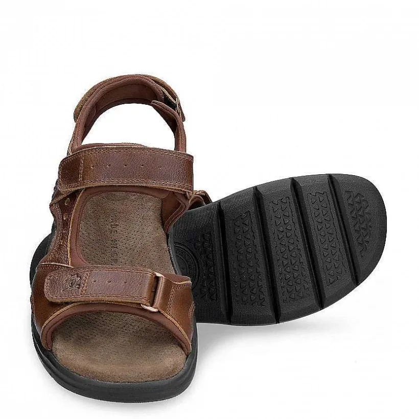 Man Panama Jack Salton Basics