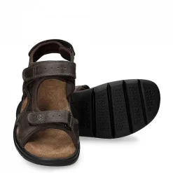 Man Panama Jack Salton Basics