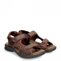Man Panama Jack Salton Basics