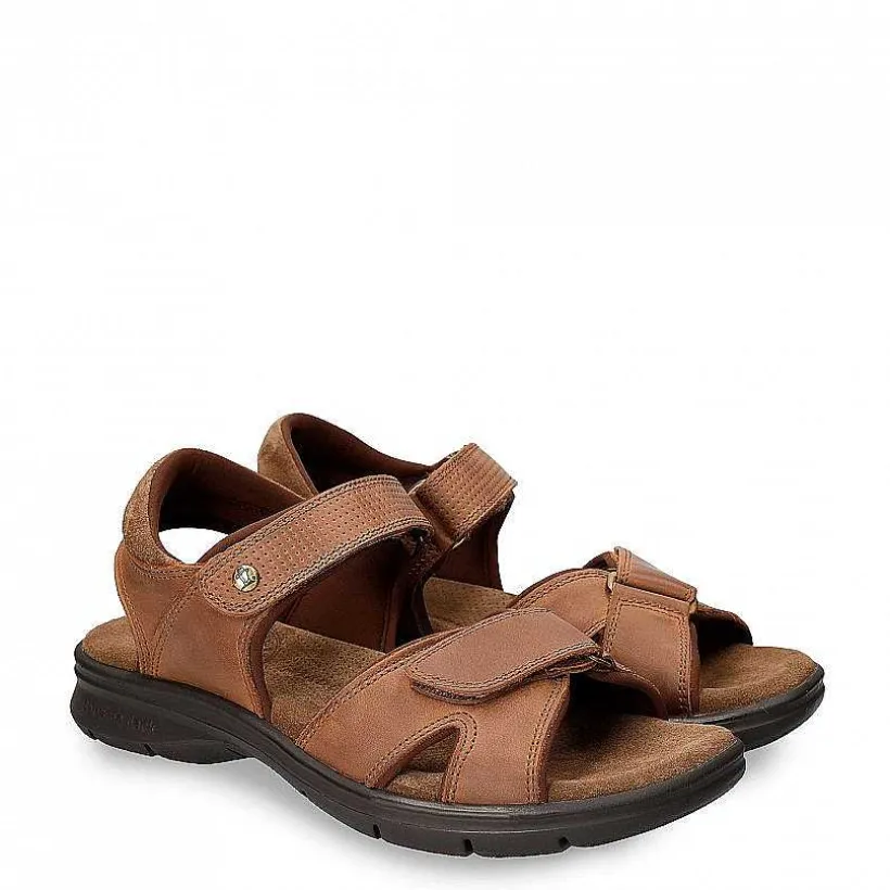 Man Panama Jack Sanders Basics