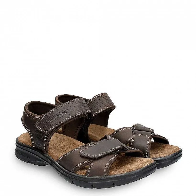 Man Panama Jack Sanders Basics