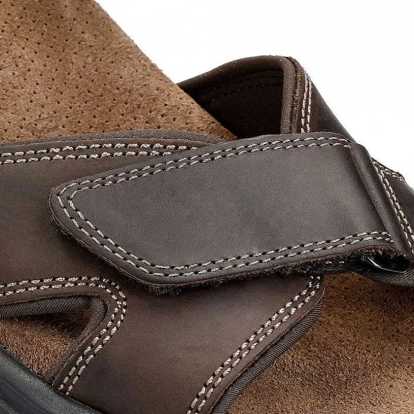 Man Panama Jack Sanders Basics
