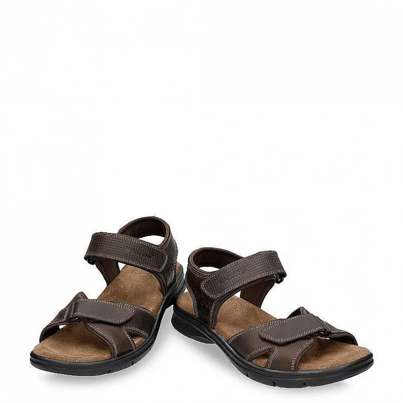 Man Panama Jack Sanders Basics