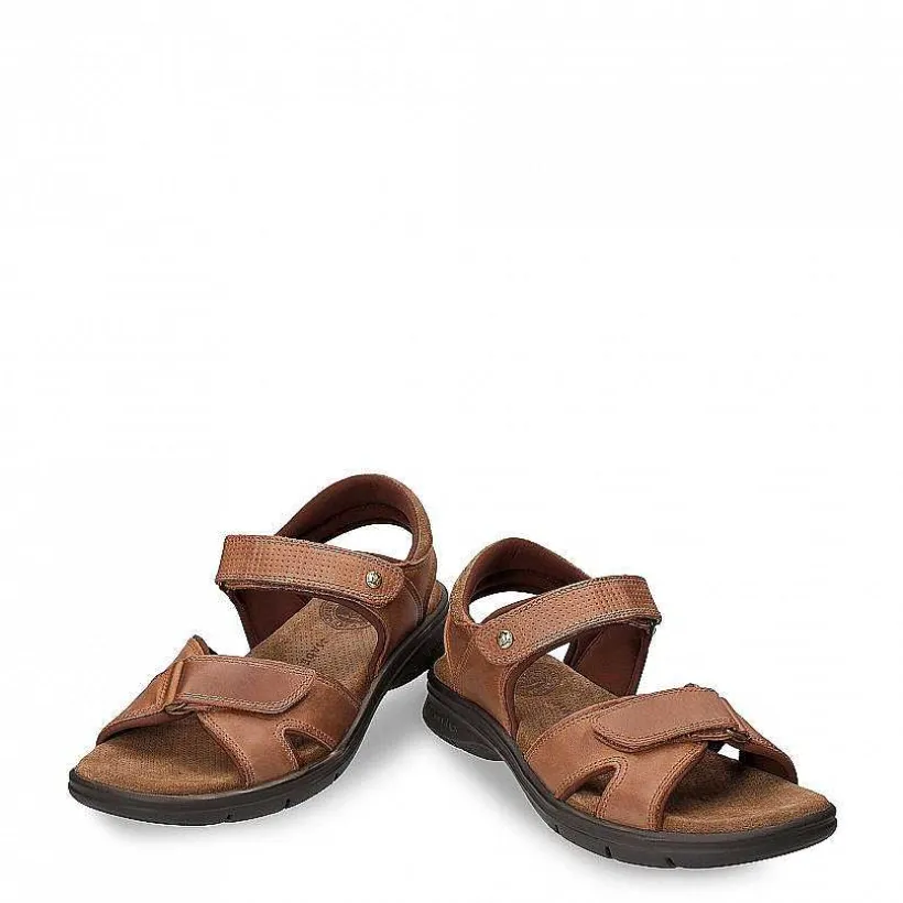 Man Panama Jack Sanders Basics